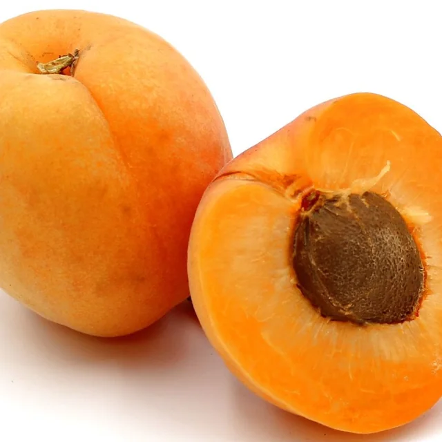 Albaricoque