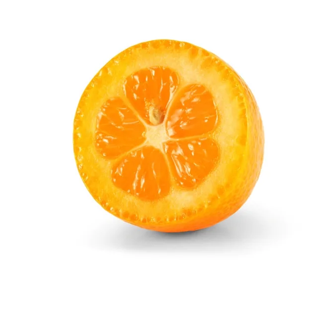 Kumquat