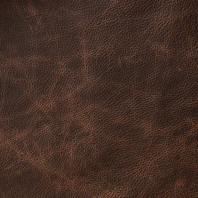Textura de cuero como evocación visual; no representa un ingrediente animal.